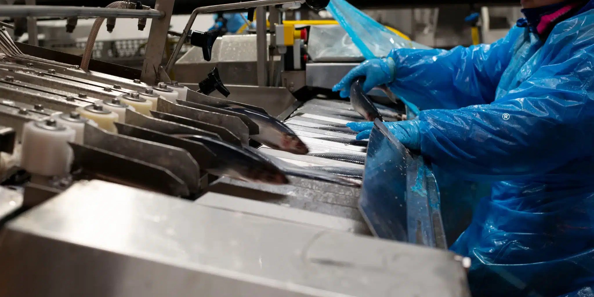 Produktion av kosttillskottet Romega