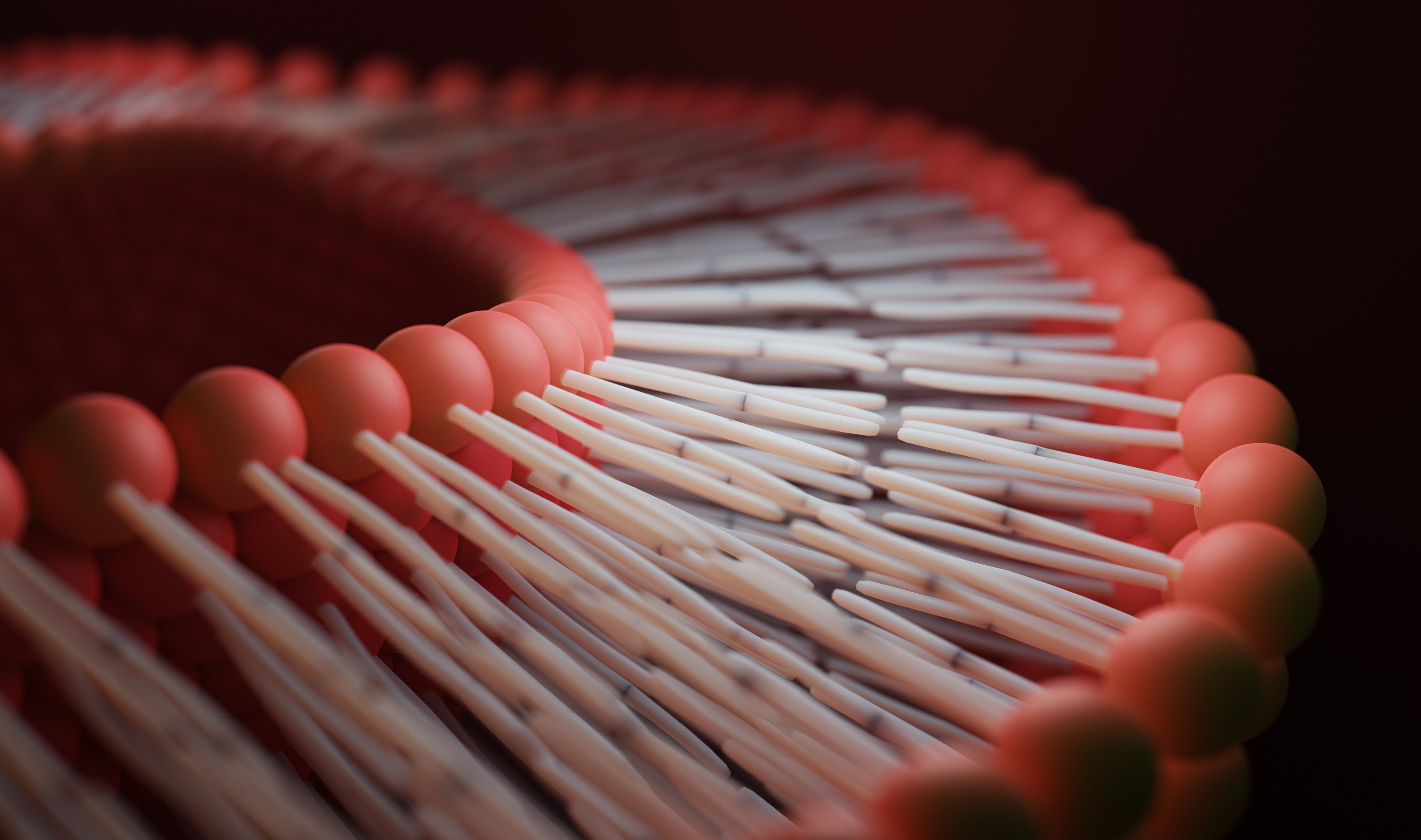 Sillromoljan – en unik omega-3 fettsyre